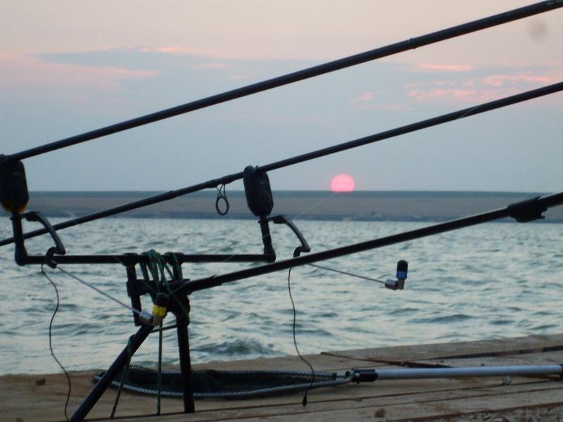 CN 2013-Corbu, CT, Lotul Overten - dscf8040.jpg